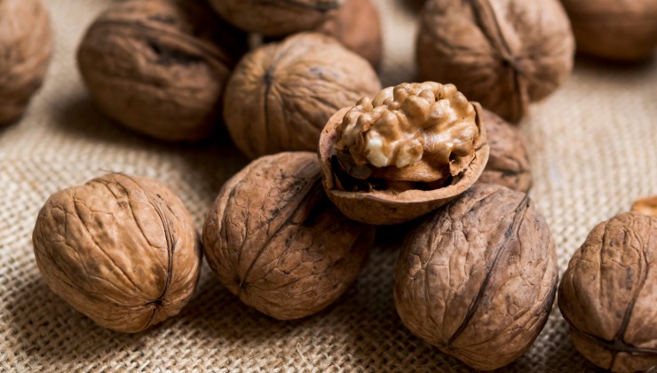 Walnut: Properties, benefits and type of walnuts | WellWo