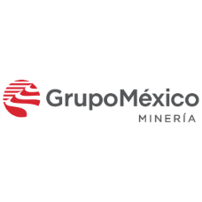 Grupo Mexico logo