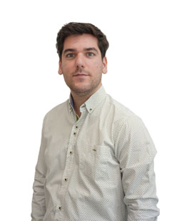programas de wellbeing para empresas
